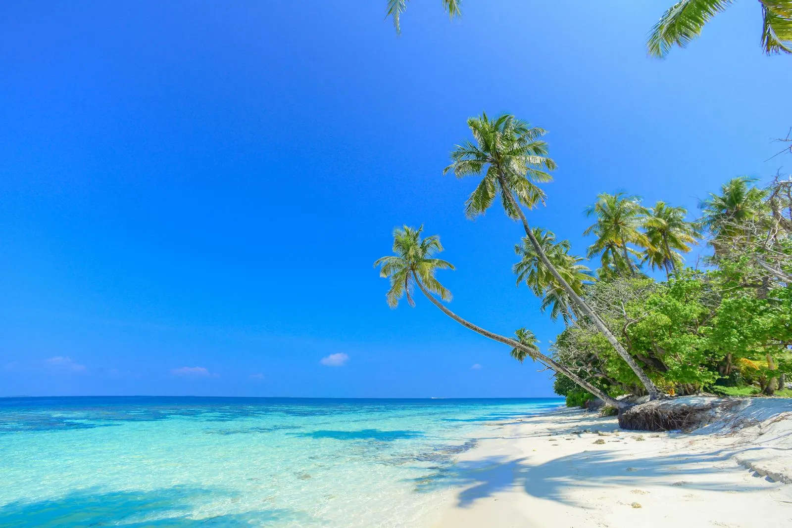 A calm tropical beach