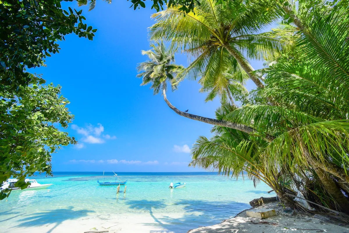 A tropical beach with palm trees and turquoise water in the Maldives