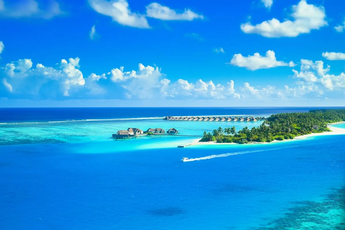 Aerial view of a lush tropical island in the Maldives