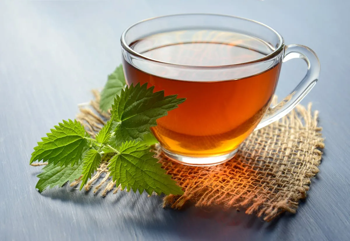 A cup of tea with accompaniments